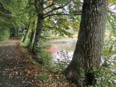 Graziella: Uferweg im Herbst