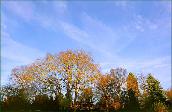 Kalter Dezembermorgen