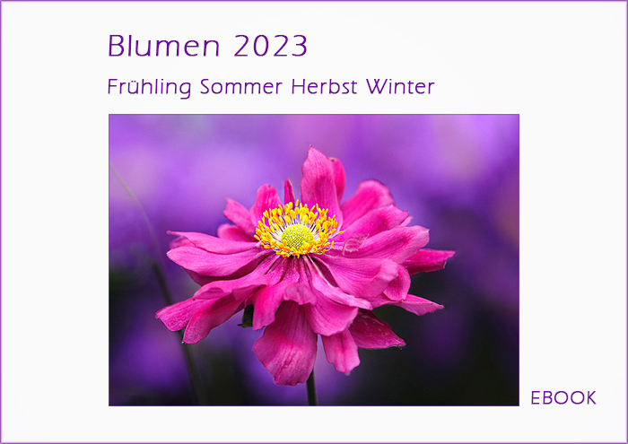 Das ist mein neues EBOOK "Blumen 2023"