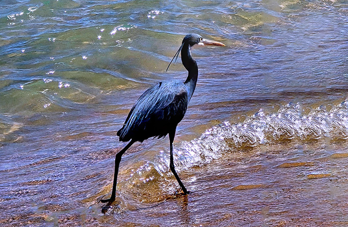 Grüße von Freunden aus Ägypten