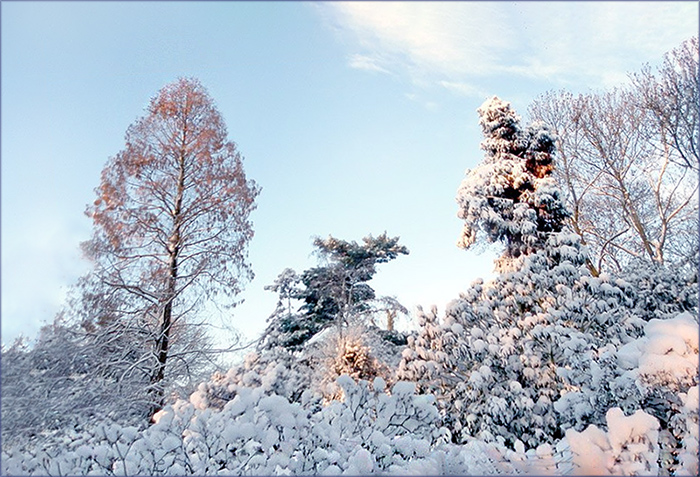 Gestern hat es in Köln geschneit
