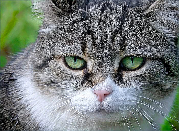 Kritischer Blick