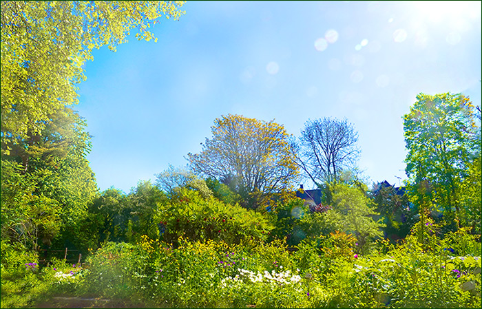 Sommer