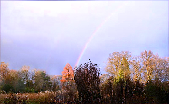 Regenbogen