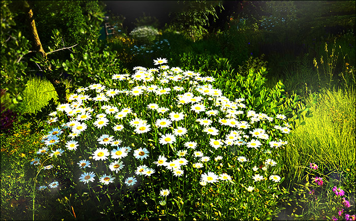 Sommer