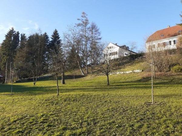 Zwanzigster dezember