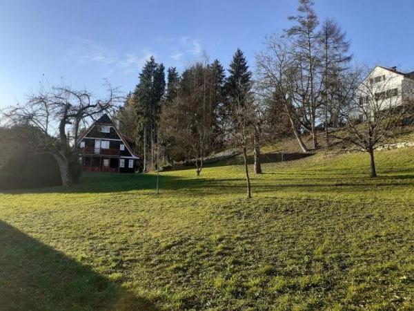 Schaut nicht nach winter aus