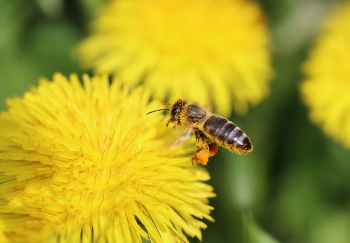 3 inPixio Radiant inPixio (2)