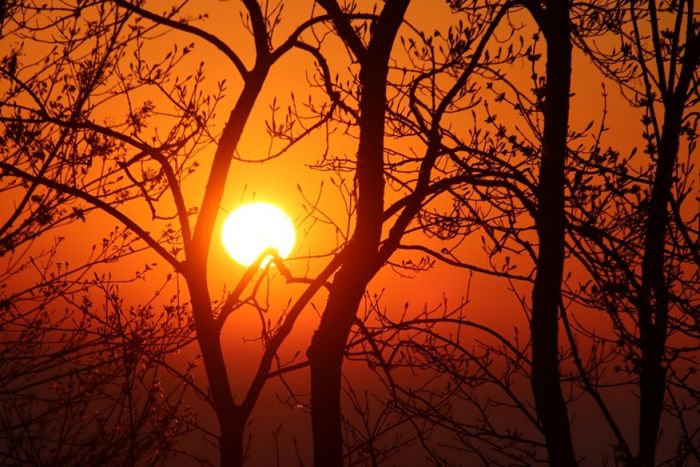 Sonnenaufgang