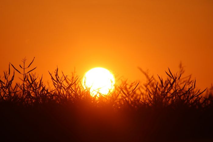 Sonnenaufgang