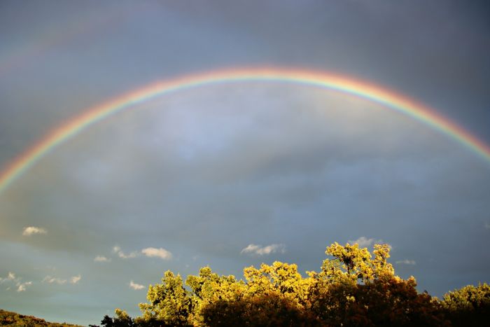 Regenbogen