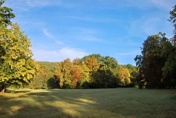 Parklandschaft Parklandschaft