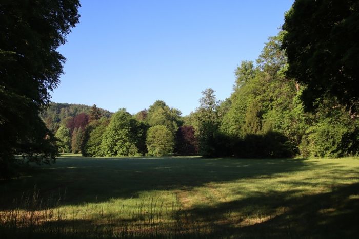 Park
