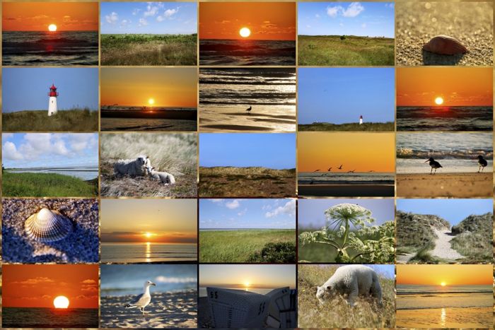 Collage Sylt