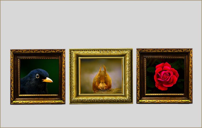 Drei gerahmte Fotos