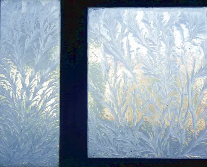 Eisblumen am Fenster , sie sind wieder da