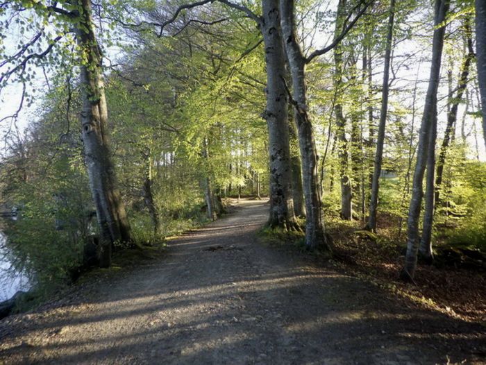 Uferstrasse am Morgen