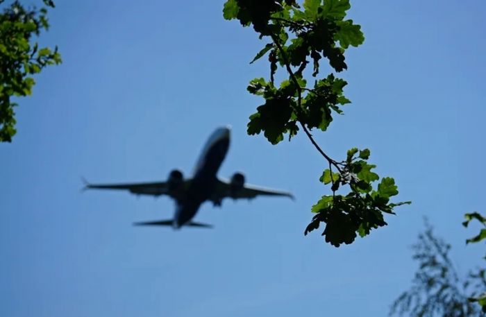 Flieger zwischen den Bäumen