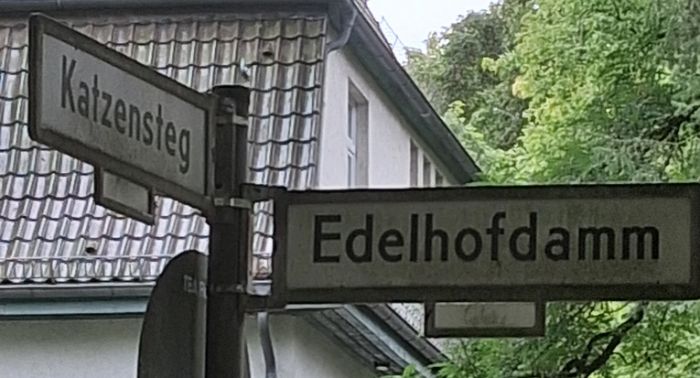 Edle Katzen