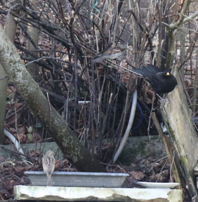 Sehen und gesehen werden