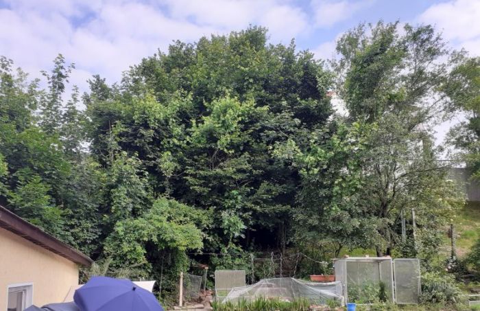 (M)ein liebster blick