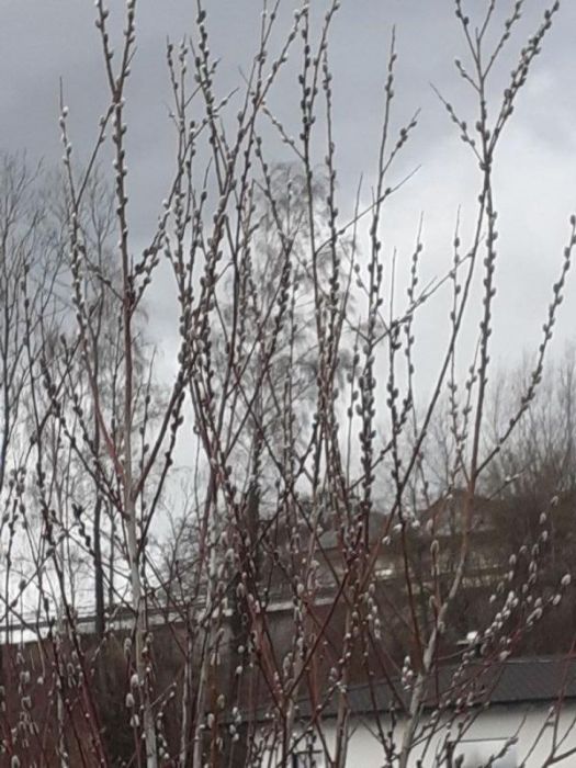 Liebesgrüße :) an den winter