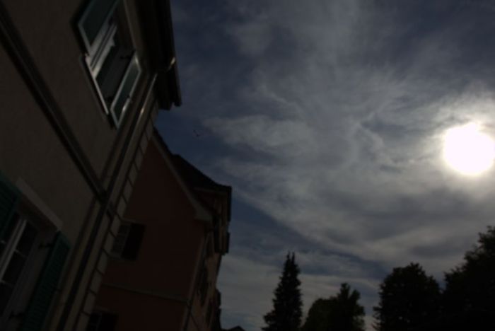 Der flug des phönix