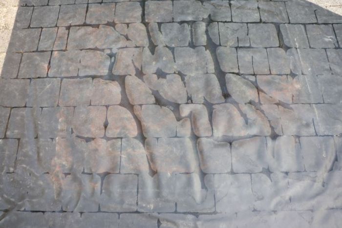 Meisterwerke der natur