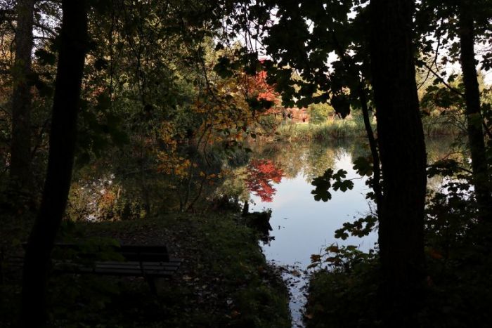 Frühmorgens