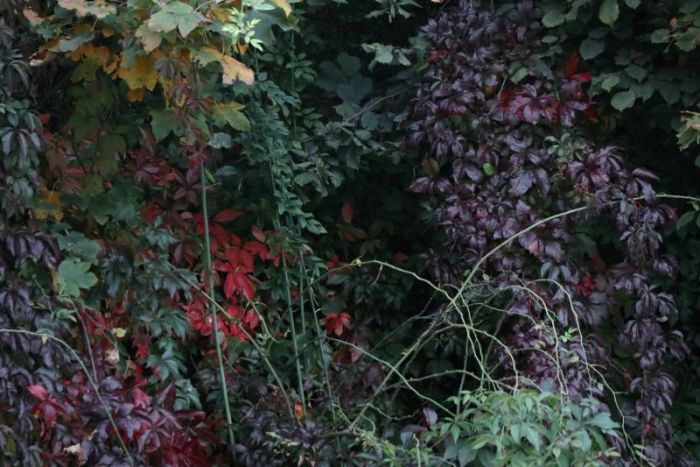 Herbstfarben
