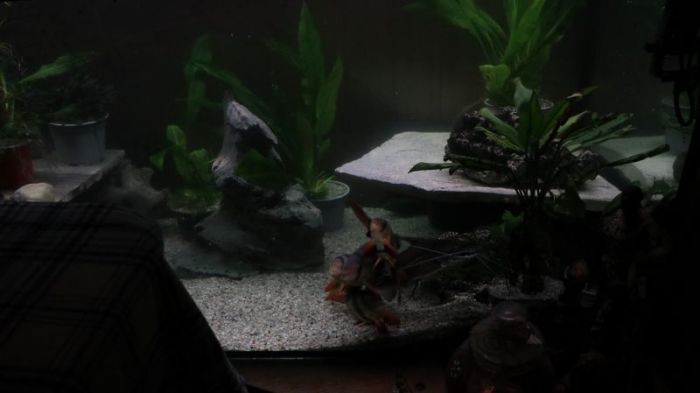 Langsamer start in den neuen tag