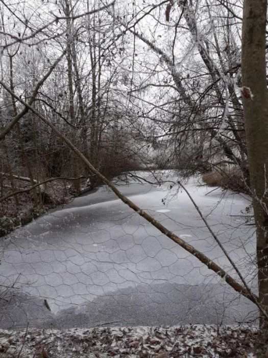 Eis -  falleri  - fallera