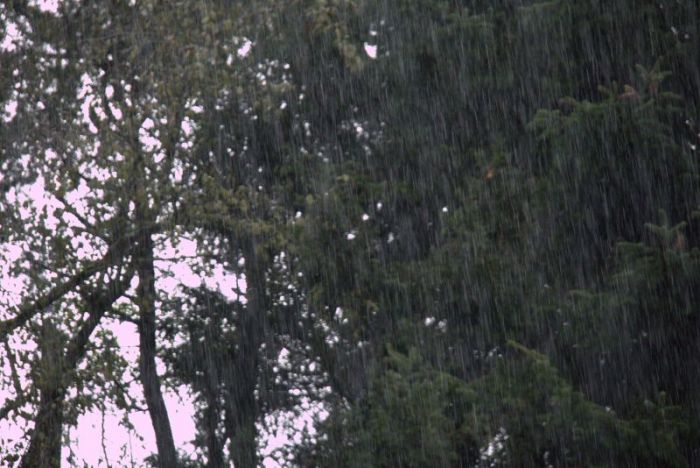 Gefühlt der 1000ste regenschauer in 2024