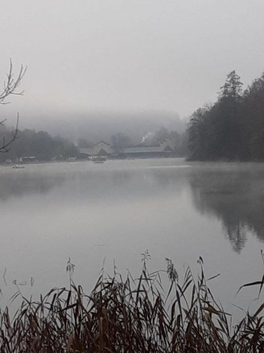 Wöhrsee frühmorgens