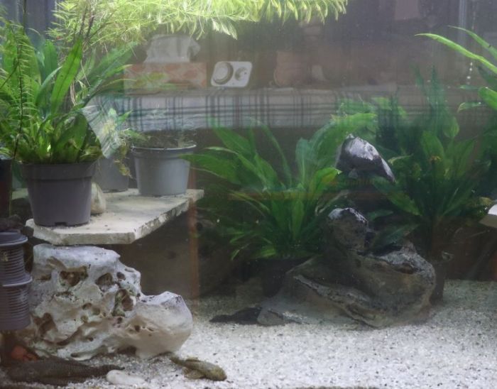 Spieglein - spieglein