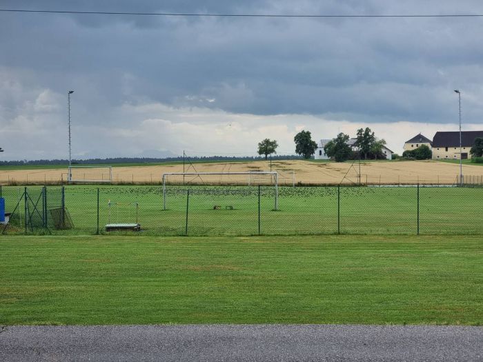 (Fußball?)training der stare