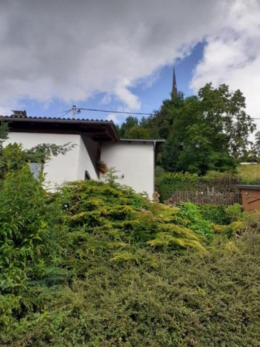 Perfekte bodendecker