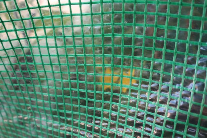 Hinter gittern