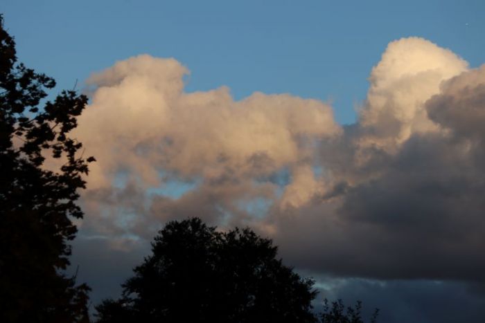 Abendwolken