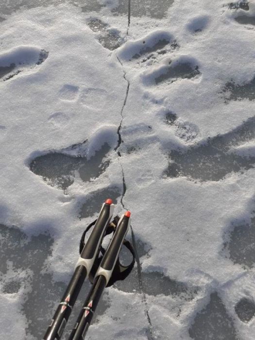 Ich muss es einfach wagen :)