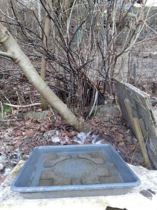 Tränke und vogelbad