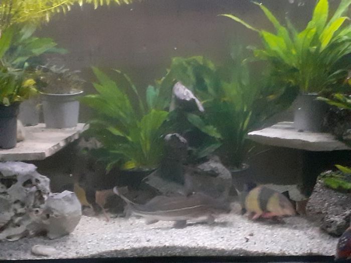 Guten morgen flitzer