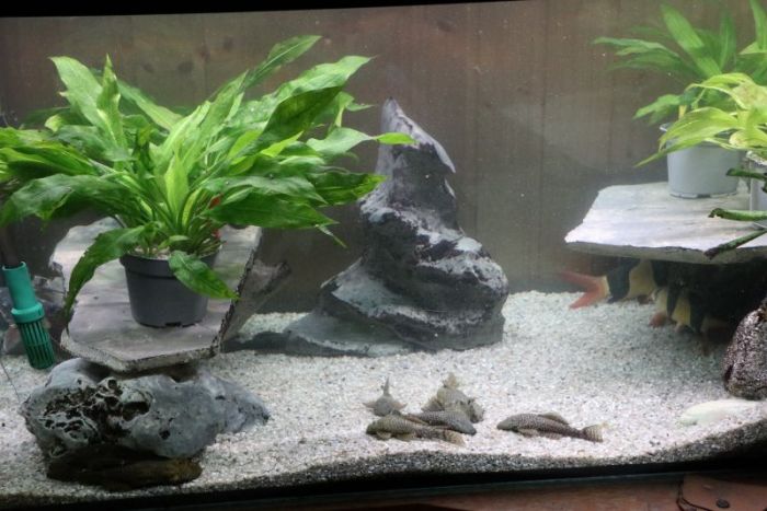 Sieger und verlierer