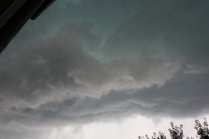 Kurz vor donnerwetter