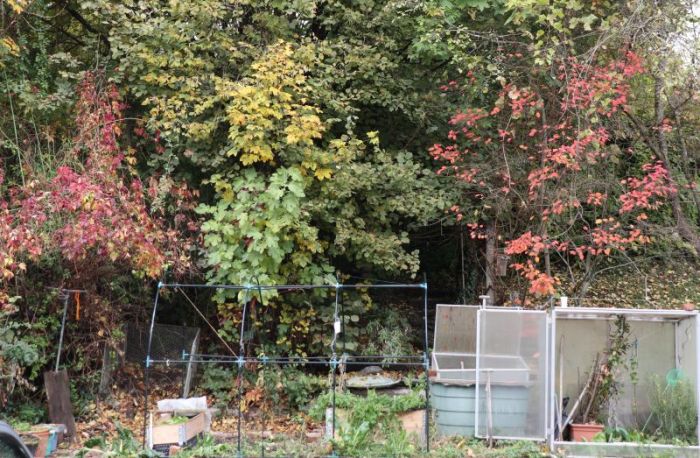 Der garten