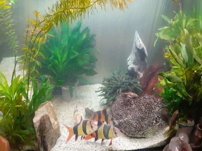 Hunger, hunger, hunger