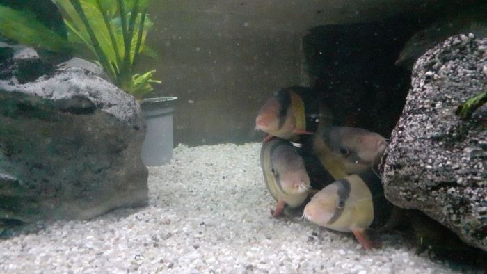 Schätze der menschheit