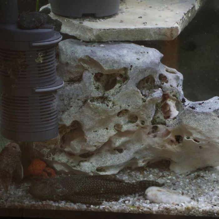 Big boss beim flirten