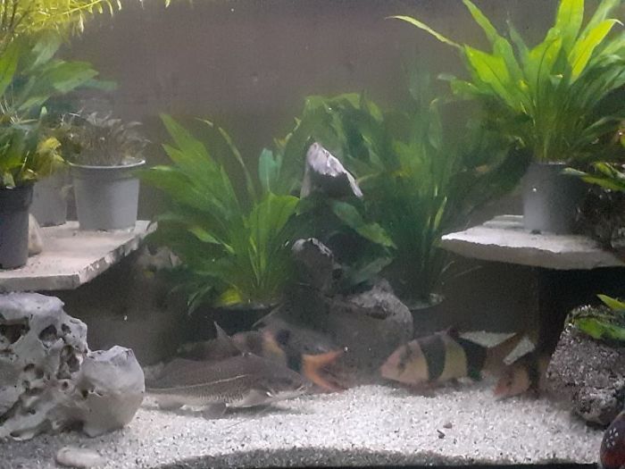 Guten morgen flitzer