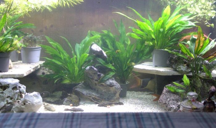 Brotzeit ist die schönste zeit